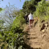 People hiking up a steep path on a tour of a coffee farm in Guatemala